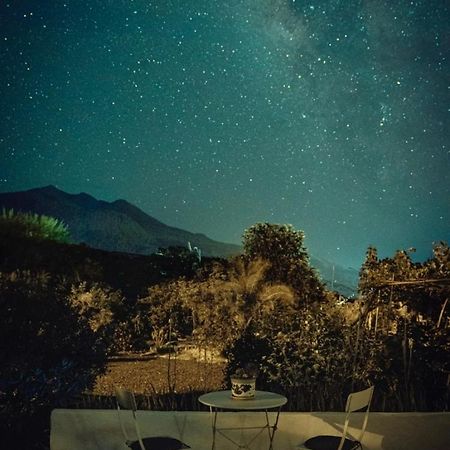 Casita La Rosa Villa El Paso Dış mekan fotoğraf