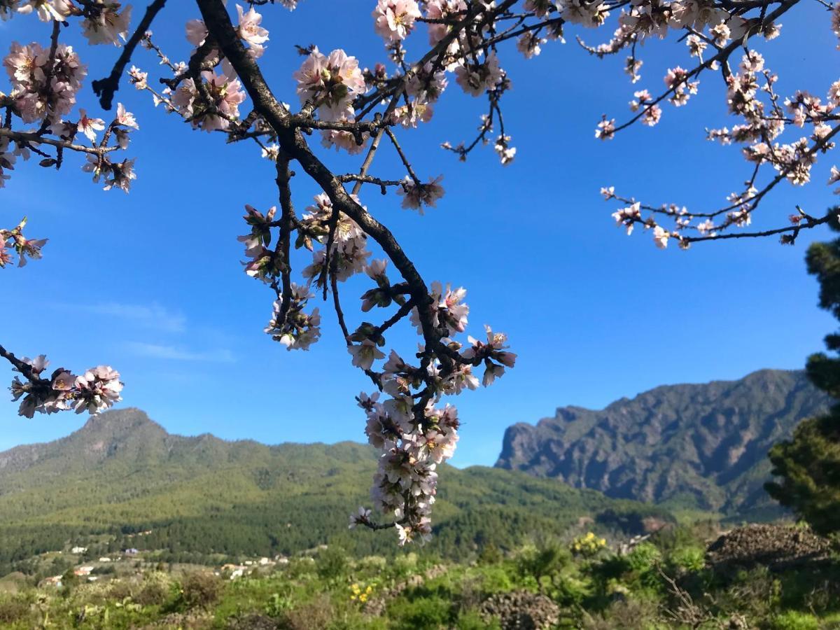 Casita La Rosa Villa El Paso Dış mekan fotoğraf