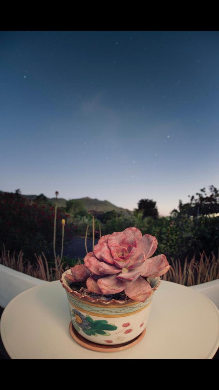 Casita La Rosa Villa El Paso Dış mekan fotoğraf